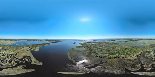 Media Image 2