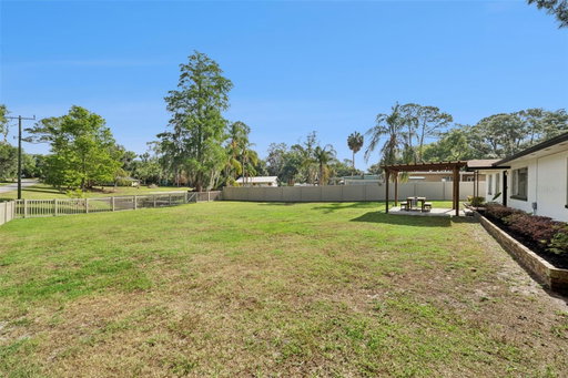 Media Image 2