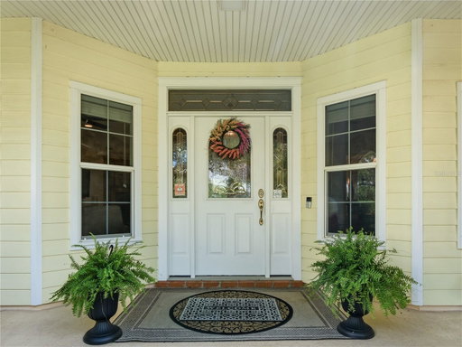 Media Image 3