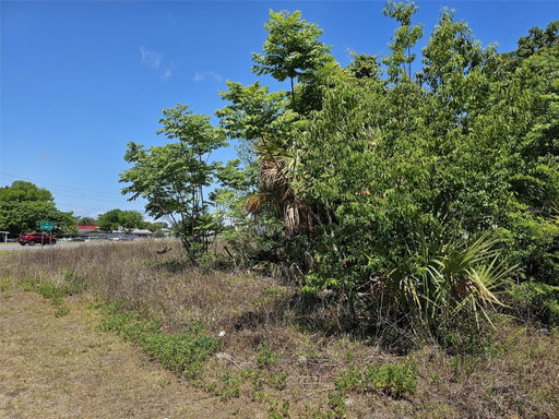 Media Image 2