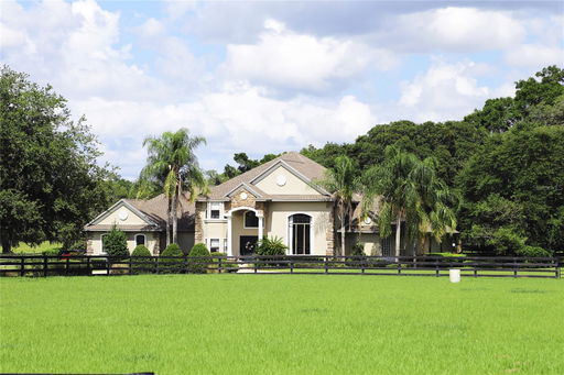 Media Image 2