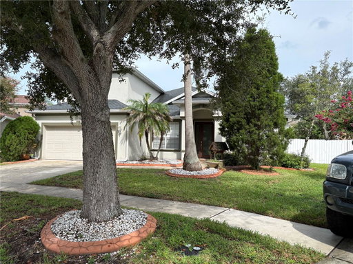 Media Image 2