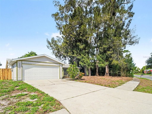 Media Image 3