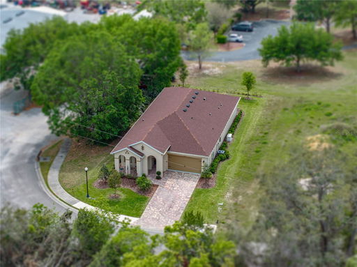 Media Image 3