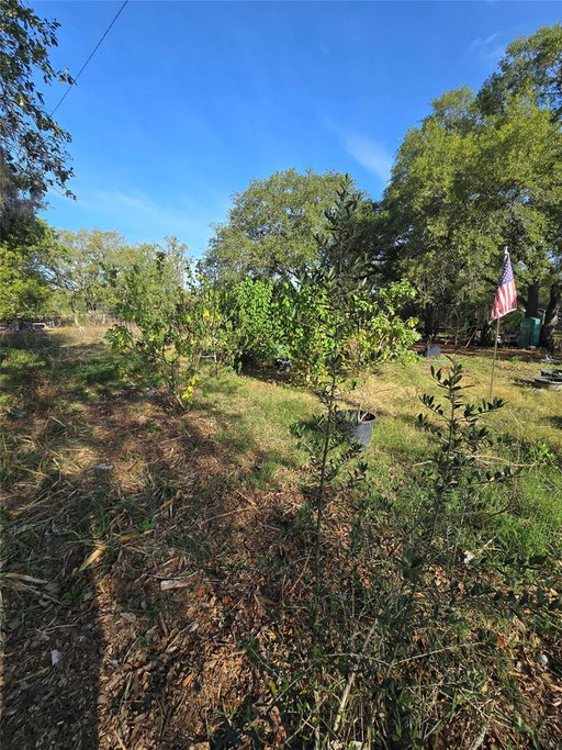 Media Image 2