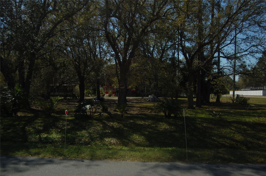 Media Image 1