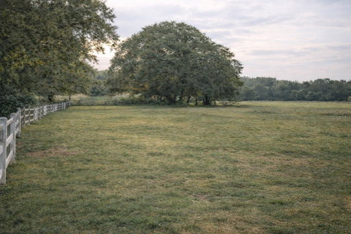 Media Image 3