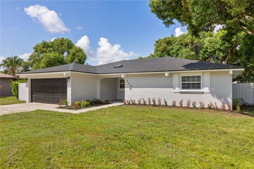 Media Image 2