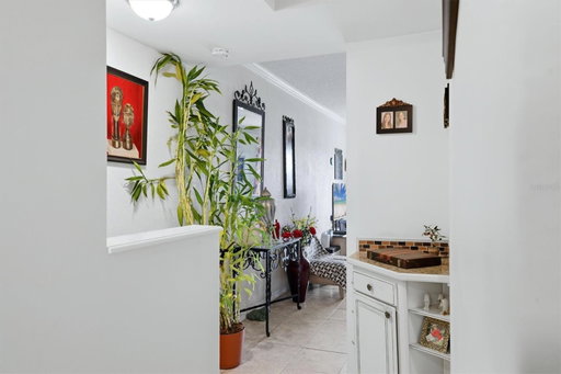 Media Image 3