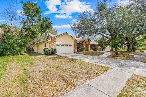 Media Image 3