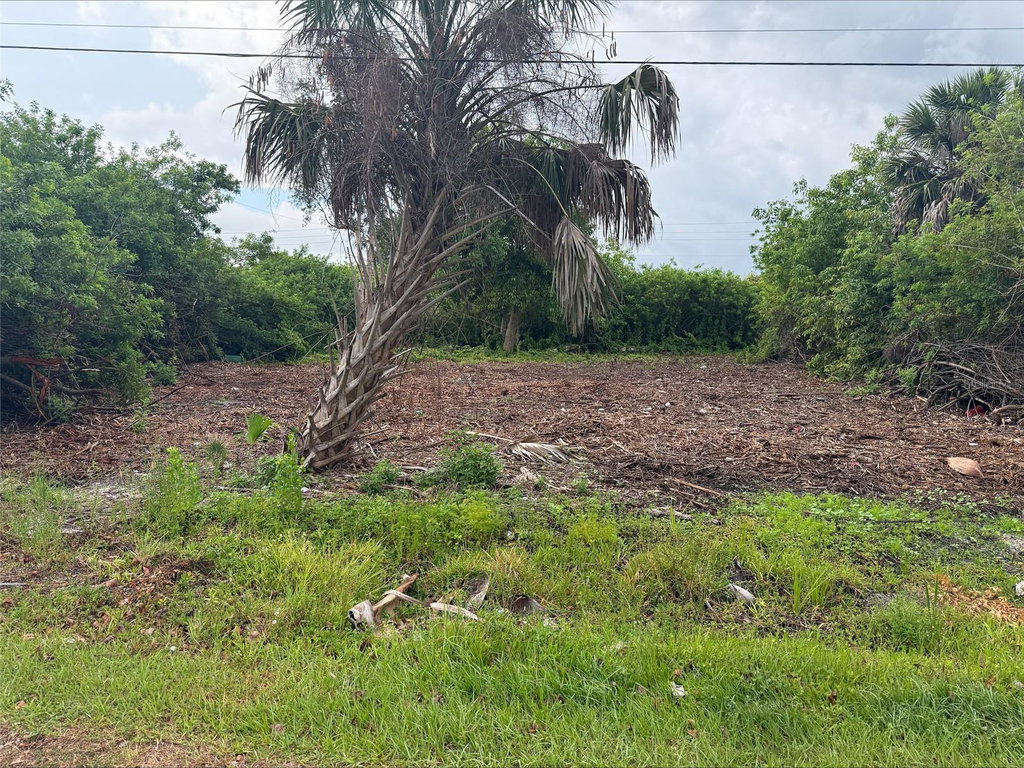 Image Unavailable