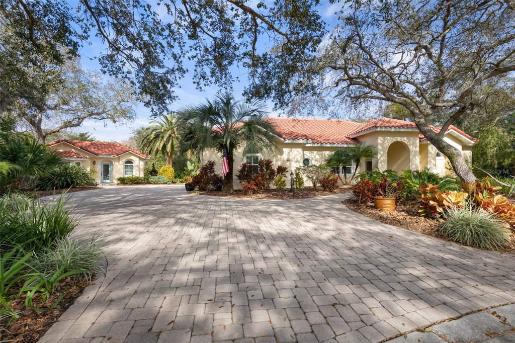 Media Image 1