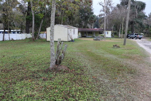 Media Image 2
