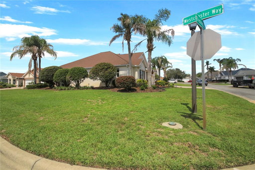 Media Image 3