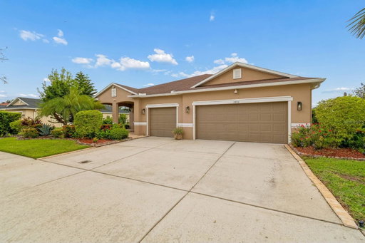 Media Image 2