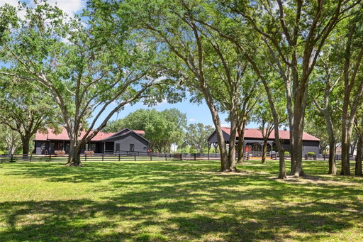 Media Image 3