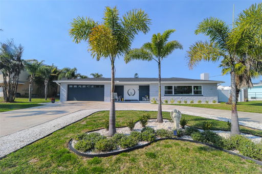 Media Image 2