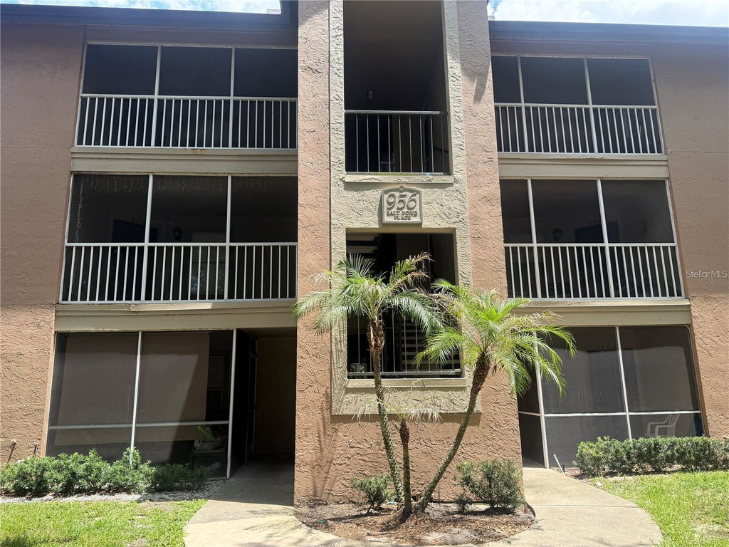 Media Image 1