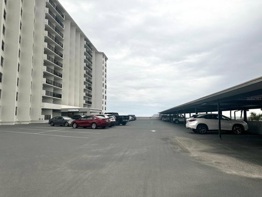 Media Image 3