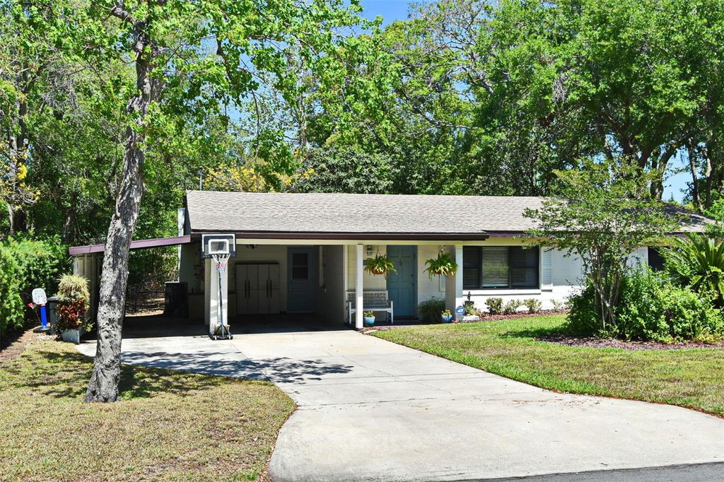 Media Image 1