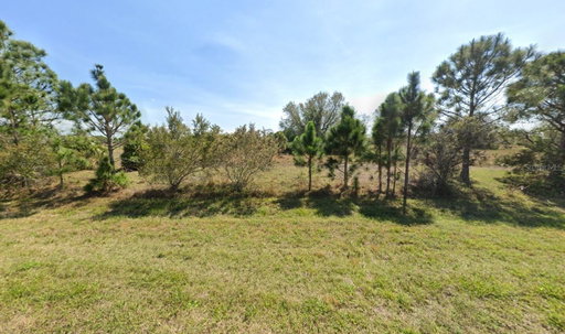 Media Image 2