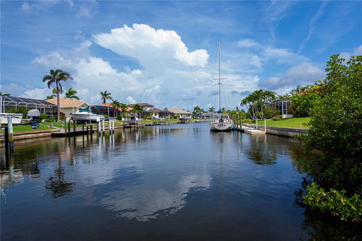 Media Image 2