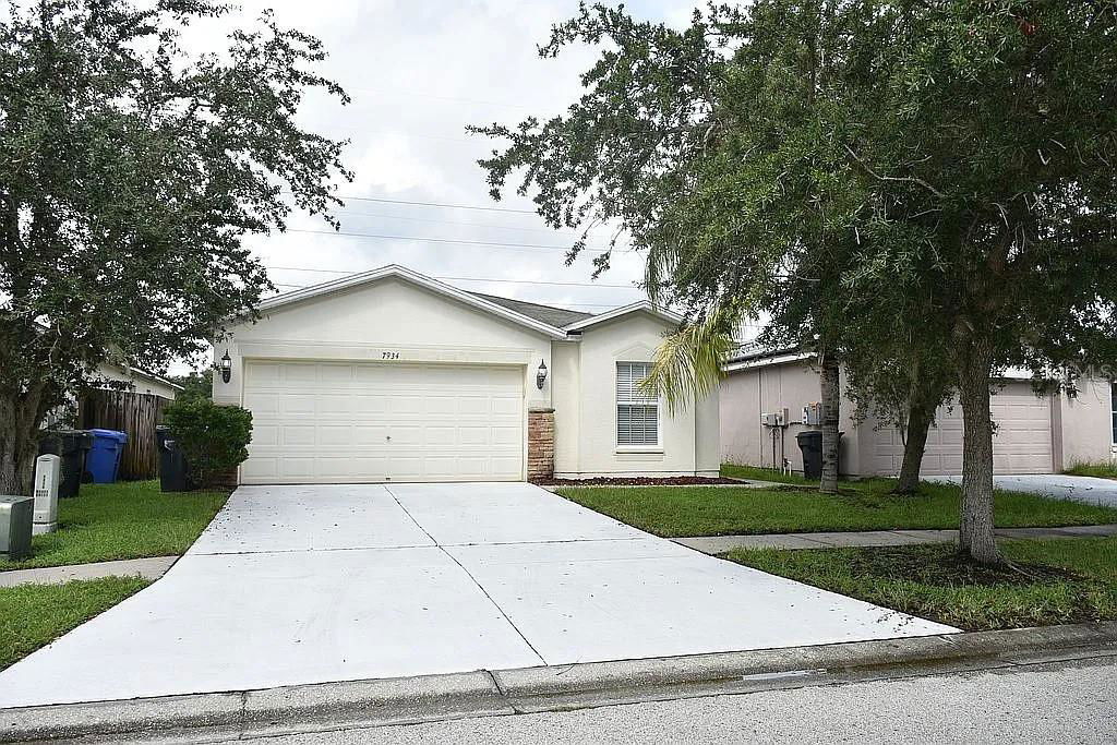 Media Image 1