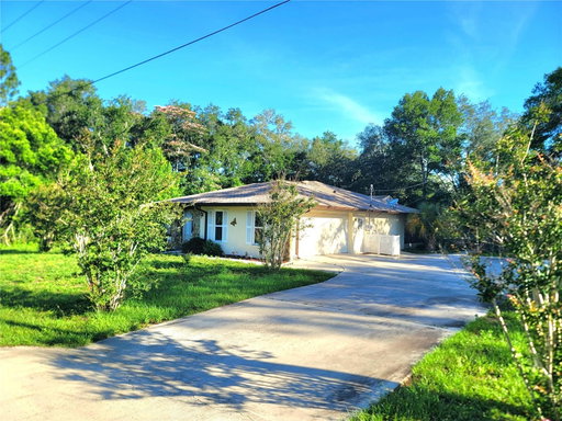 Media Image 2