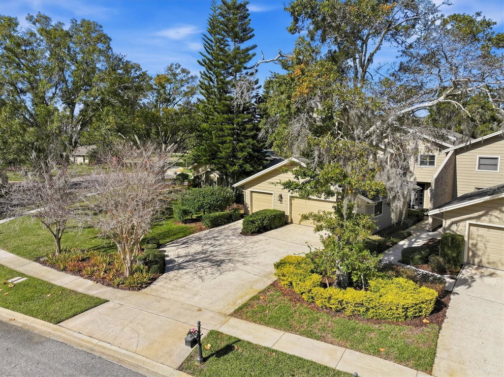 Media Image 1