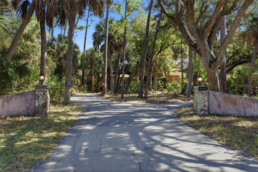 Media Image 2