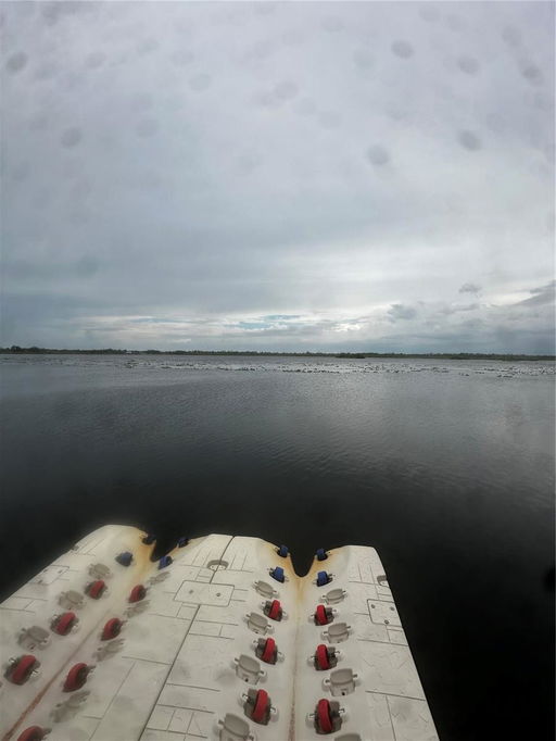 Media Image 3