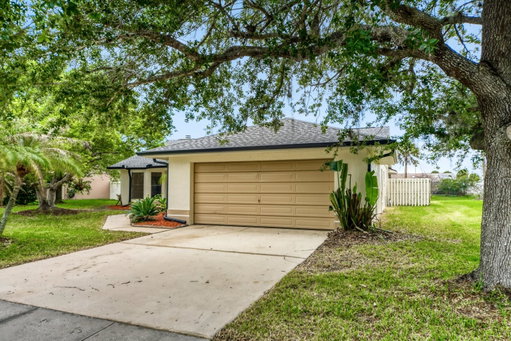 Media Image 2