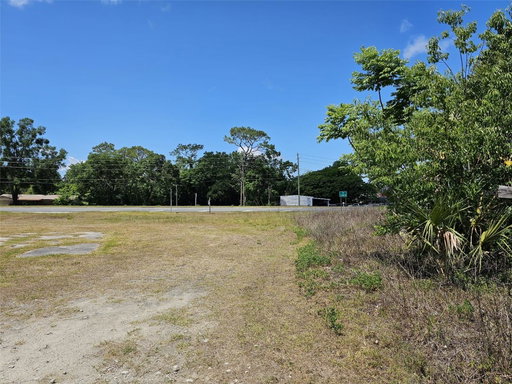 Media Image 3