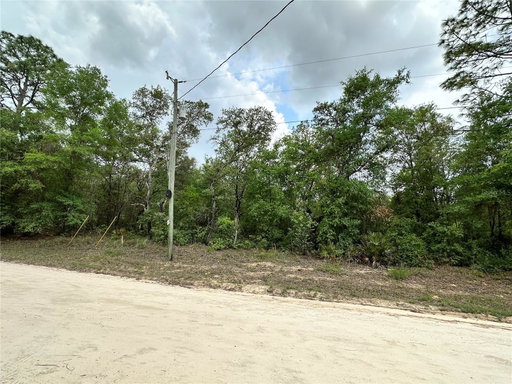 Media Image 3