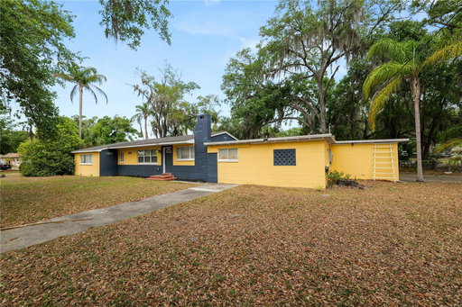Media Image 2