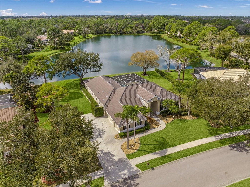 Media Image 1