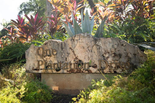 Media Image 2