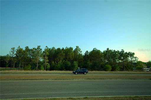 Media Image 3