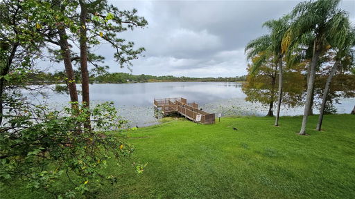 Media Image 3