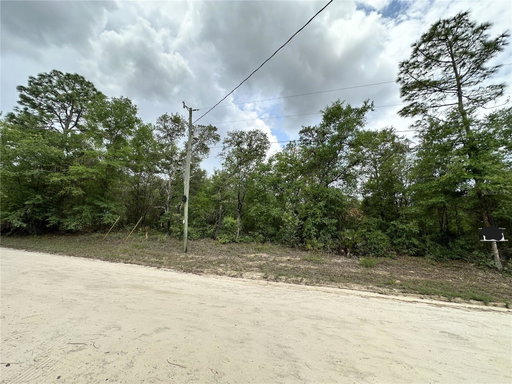 Media Image 2