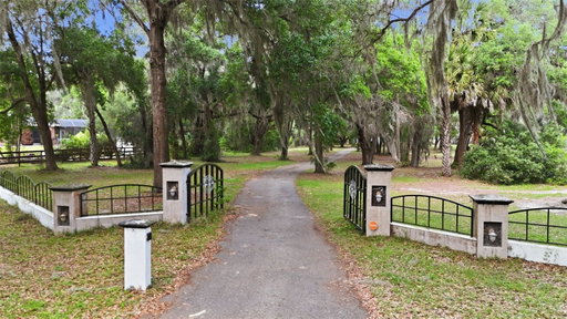 Media Image 3