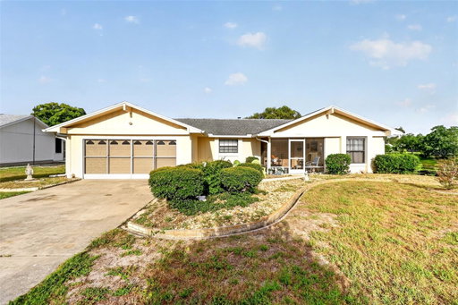 Media Image 3