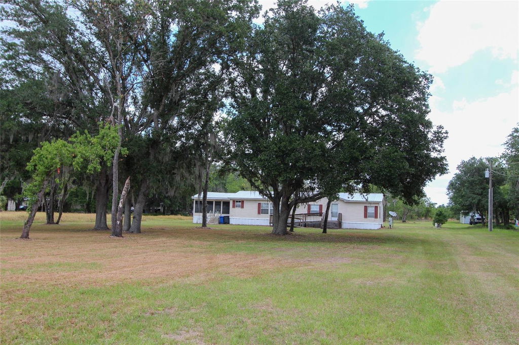 Media Image 1