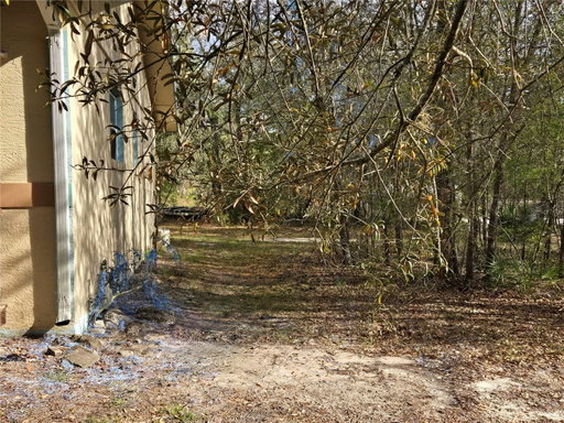 Media Image 2
