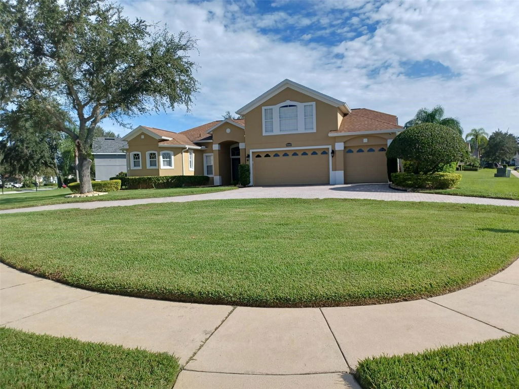 Media Image 1