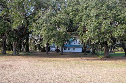 Media Image 3
