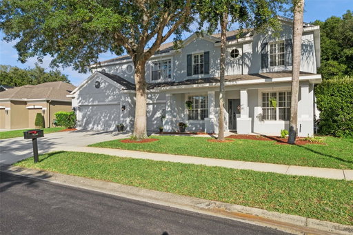 Media Image 2