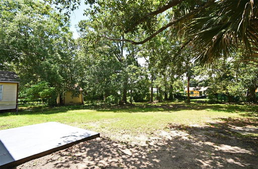 Media Image 3