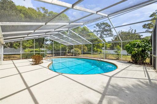 Media Image 3