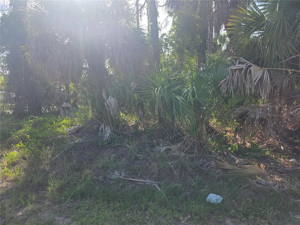 Image Unavailable
